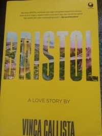 Image of Bristol: a love story by