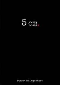 5 cm